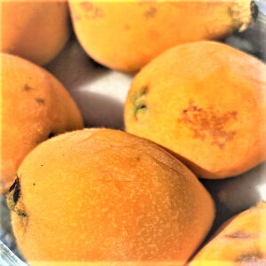 ���Q�Y ���ɖ󂠂� �т� ��1.0kg �y��������(�ꕔ�n�揜��)�z�s���� ���Q���Y ���f �t���[�c �{�̉ʕ� �������� �ƒ�p �ʎ� �� �H�i���X ����� �f�U�[�g �R���i ���������ԉ��� �Ă̖��o 