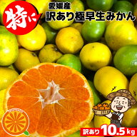 只今出荷中！愛媛産 特に訳ありみかん【送料無料(一部地域除く)】10kg(+約0.5kg多め)不揃い 傷 汚れ有 極…