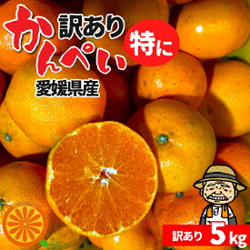 酸っぱうま～い♪愛媛産 特に訳あり甘平 5kg(+約0.5kg多め)【送料無料(一部地域除く)】かんぺい 不揃い 傷 汚れ有 愛媛県産 フルーツ 美味しいみかん 箱買い 果物 くだもの お取り寄せグルメ 柑橘類 かんきつ 食品ロス コロナ おうち時間応援 産地直送