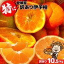 愛媛産 特に訳ありいよかん【送料無料(一部地域除く)】10kg(+約0.5kg多め)不揃い 傷 汚れ有 伊予柑 イヨカン フルーツ…