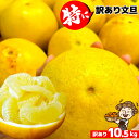 愛媛、高知県産　特に訳あり文旦10.5kg 不揃い【送料無料(一部地域除く)】愛媛県産 椪柑 ぶんたん ブンタン パール柑 フルーツ 美味しいみかん 果物 くだもの かんきつ 食品ロス みかん 箱買い 蜜柑 柑橘類 コロナ おうち時間応援 産地直送