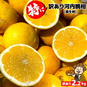 愛媛産 特に訳あり河内晩柑2kg【2品で+2kg(6kgセット) 3品で+4kg(10kgセット)】【送料無料(一部地域除く)】不揃い 傷 汚れ有 みしょうかん・グレープフルーツ 規格外品 愛媛県産 家庭用 フルーツ 果物 くだもの 果実 食品 みかん 箱買い お取り寄せグルメ 蜜柑 柑橘類