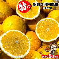 愛媛産 特に訳あり河内晩柑5kg(+約0.5kg多め)【送料無料(一部地域除く)】不揃い 傷 汚れ有 みしょうかん…