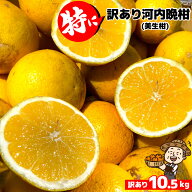 愛媛産 特に訳あり河内晩柑10kg(+約0.5kg多め)【送料無料(一部地域除く)】不揃い 傷 汚れ有 みしょうかん…