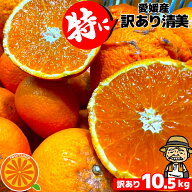 特に訳あり 愛媛産 清見タンゴール(清見オレンジ) 10kg (+約0.5kg多め)【送料無料(一部地域除く)】不揃い…