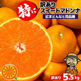 只今出荷中！愛媛産 ご家庭用 特に訳ありスイートまどんな 5kg(+約0.5kg多め)【送料無料(一部地域除く)】不揃い 傷 汚れ有 紅まどんなと同品種 あいか 愛媛果試第28号 家庭用 フルーツ 果物 くだもの みかん 柑橘類 食品ロス コロナ おうち時間応援 産地直送