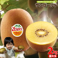 ゼスプリ（大玉サイズ）サンゴールドキウイ 箱込 2kg【送料無料(一部地域除く)】秀品 フルーツ 旬の果物 …
