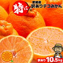 3営業日以内速攻出荷♪愛媛産 特に訳ありデコみかん 10kg(+約0.5kg多め)【送料無料(一部地域除く)】不揃い 傷 汚れ有 …