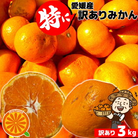 愛媛産 特に訳ありみかん【送料無料(一部地域除く)】3kg不揃い 傷 汚れ有 なつみ カラマンダリン フルーツ 美味しいみかん 果物 くだもの 温州みかん 柑橘類 かんきつ 食品ロス コロナ おうち時間応援 産地直送 極早生