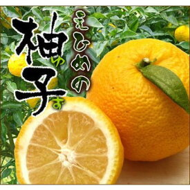 愛媛産ゆず2kg（訳あり）送料無料