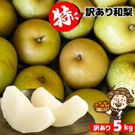 愛媛産 特に訳あり和梨5kg 箱込み【送料無料(一部地域除く)】不ぞろい 不選別 ご自宅用に最適 和梨 なし …