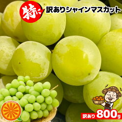 【1,780円～】特に訳ありシャインマスカット 約800g 2セットご購入で1箱おまけ