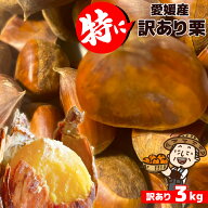 愛媛産 特に訳あり生栗 約3kg【送料無料(一部地域除く)】 和栗 国産 旬の果物 なまぐり 食品ロス 栗ご飯 …