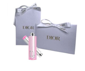 ybsOρzDior fBI[ @obNXe[W@[W[ OE XeBbN@`[N@001 Mtg@v[g@NX}X@̓@a@j@ޏ@NX}XRt