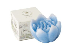 T^E}AEmFb@[^Xt[Lh u[@@@̉