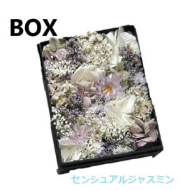 フローラノーティス ジルスチュアート　　センシュアルジャスミン　ボックスフラワー　花　BOX　【ショッパー付き】母の日　プレゼント　ギフト