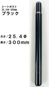 ] ]ԗp V[g|Xg Th|Xg Th x 25.4p 300mm X`[ ubN