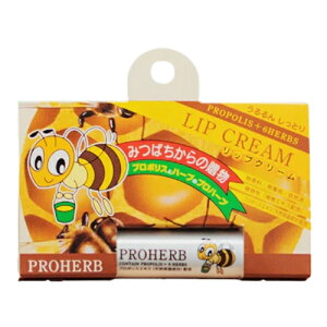 vn[u@bvN[ ێ    et  ϕi  PA