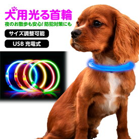 楽天市場 首輪 光る お出かけ お散歩グッズ 犬用品 ペット ペットグッズの通販