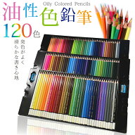 【楽天1位】色鉛筆 120色 セット 油性 プレゼント 収納 ケース 子供 小学生 お絵かき 大人の塗り絵 画材…