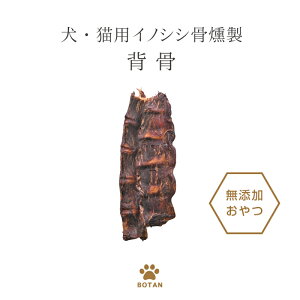 b̂ڂ nV[YELpCmVVyw×1zp  W[L[@Y S CmVV JVE@~l@f^PA hbOt[h