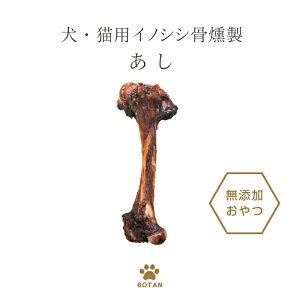 b̂ڂ nV[YELpCmVVy×1zp  W[L[@Y S CmVV JVE@~l@f^PA hbOt[h