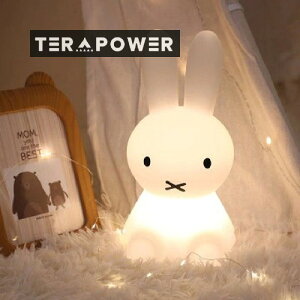 ~btB[ Cg Vo USB [d R^ oYj  q lCNO.1@ňl@@USB[d@჉v@؍CeA@BPA FREE@Cg@ԃCg@x