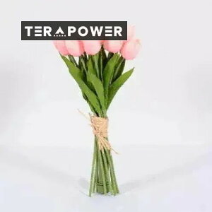 ňlɒ[؍CeA]bvLED [h v S4F ԐڏƖ drCg