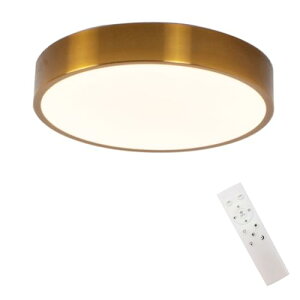 V[OCg 30W ؖڒ a ^V[OCg iKF Rt S50 铔^Cv ȒP 