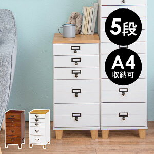 `FXg i 5i zCg o 28s3762cm A4Ή l[v[gΉ 