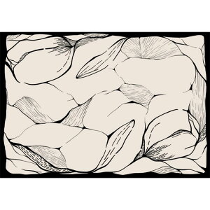 fUCZX ƒp Be[W  J[ybg Q rO[ WF O~