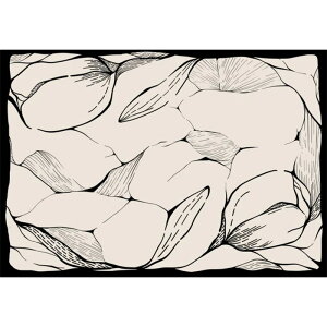 fUCZX ƒp Be[W  J[ybg Q rO[ WF O~