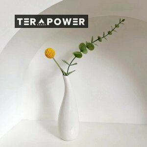 kԕrԐԉԕrrOe[uANZT[׎ʐ^