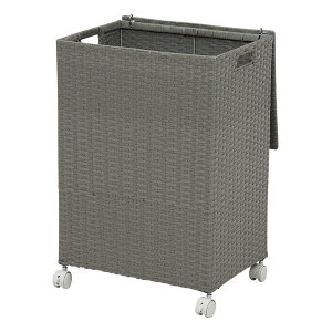 LX^[t[{bNX O[E50×s38×67cm