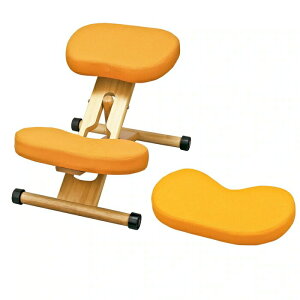 uhȂwK`FA v|[V`FALbY CH-889CK-OR IW