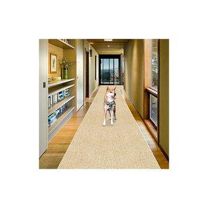 J[ybg O ^CJ[ybgLb`}bg 300 60cm O}bg~ߘLp O~ t 􂦂 h Lb`QԂȂǂ