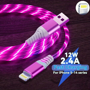 12W[dUSB-ALightningP[u LEDCWP[^[t - Aϋv|GXet@Co[AiPhone 14/13/12V[YAiPadAiPodAAirpodsȂǑΉ.