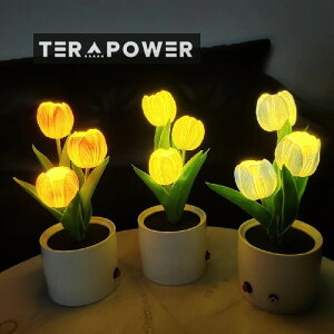 ledCg p̑ LED`[bv Ԃƃ[hv 3v/300mah ƒpɈS ԐڏƖ