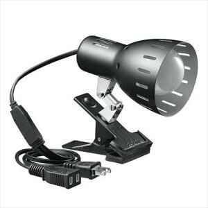 (UR[|[V) NbvCg E26 ubN