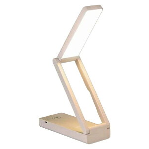 p̏[dfXNvڂ̕یQ̃xbhTChv̊wp̃|[^u܂肽ݎ^fXNvdr