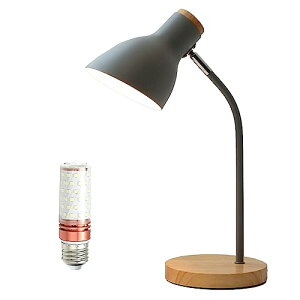 fXNCg 12WLEDdt LEDCg F3iK dCX^h ڂɗD ドCg RZg px߉\ ȒP ubNCg d ׋ Q Ɩ ǏCg e[uv z