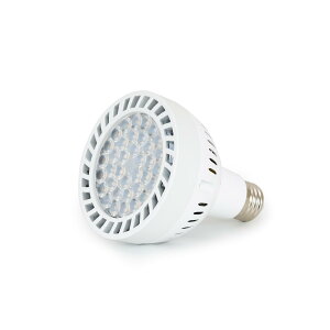 qbg܂ 琬d A琬Cg F LED E26 z d ϗtA////k͔|  琬Cg F Px ȃGl 22w 3800K