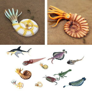 AȊCmtBMAZbgmߋfXNgbvfR[V11