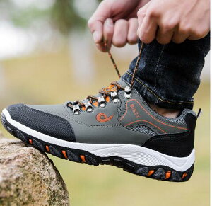 gbLOV[Y oRC Y fB[X AEghAV[Y ^C EH[LO