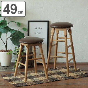 Xc[ 48.5cm [Xc[ ؐ VR ֎q