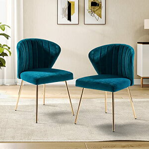 _CjO`FA 2rZbg ֎q _CjO `FA xxbgn S[hr _CjO[ rO[Ƌ Q e Tp()