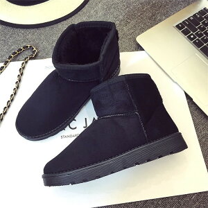 Vo u[c u[c fB[X ~C h ۉh 킹₷ ӂӂ IV y r g