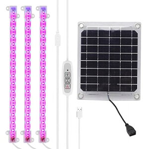 \[[vg̓CgĂ܂v - ck͔|p MU݌v̑ϋv̂鐬v