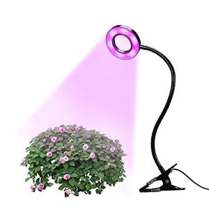 A Cg LED 琬 i v   v^[