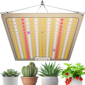 pl F 256LED tXyNg UV/IR  ʎqv ͔|v A琬 k͔|v ƒ؉ | ͔| ؍H ϗtA ȓd 